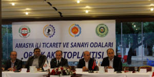 AMASYA İLİ TİCARET VE SANAYİ ODALARI ORTAK AKIL TOPLANTISI