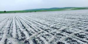 TÜM ÇİFTÇİLERİMİZE GEÇMİŞ OLSUN