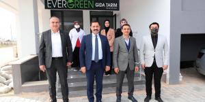 VALİ MASATLI VE BAŞKAN KIRLANGIÇ'TAN EVERGREEN TARIM'A ZİYARET
